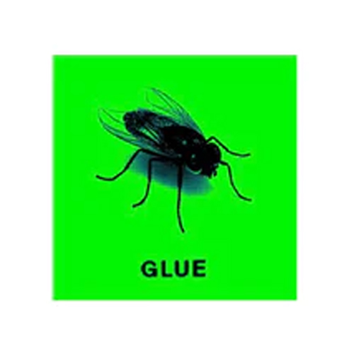 GLUE SKATEBOARDS